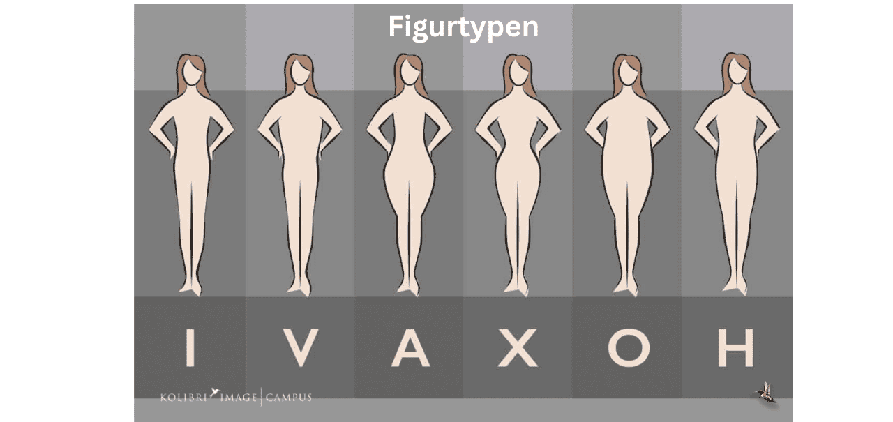 Figurtyp Sanduhr X-Typ Figurtyp Frau