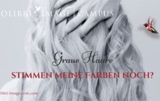 Farbberatung graue Haare Ausbildung 12-er System